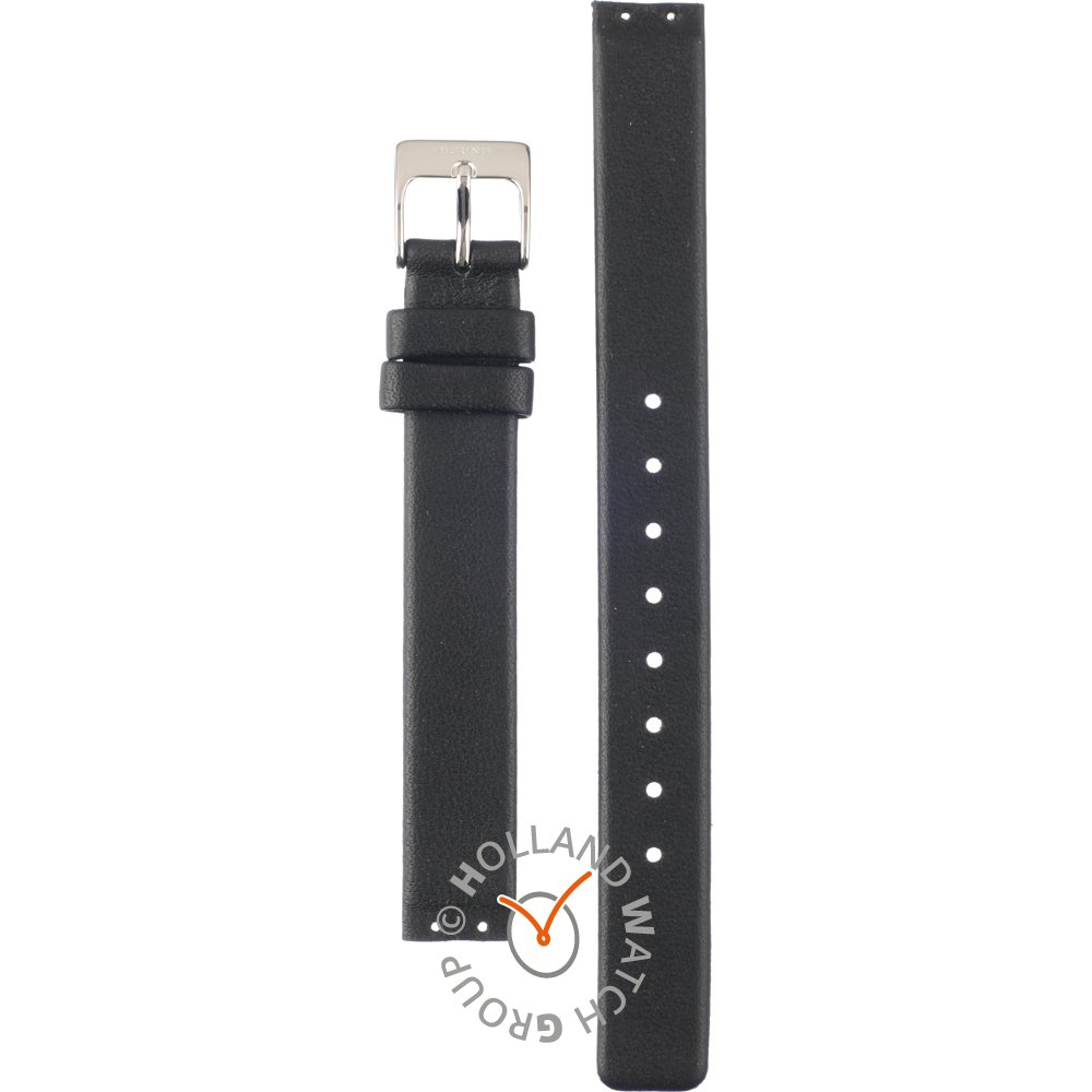 Bering Straps PT-A12034S-BRB band