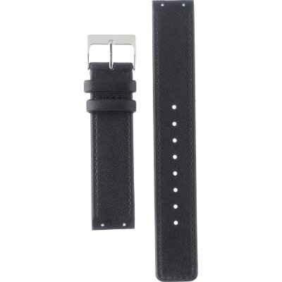 Bering SI-17-9-70-117-12 Classic band