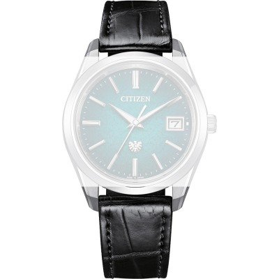 Citizen 59-008B2-01 THE Citizen band