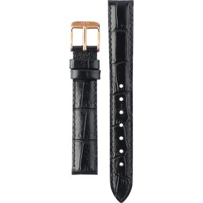 Daniel Wellington DW00200143 Petite 14 Reading band