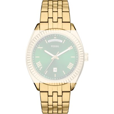 Fossil AFS6142 Campbell band