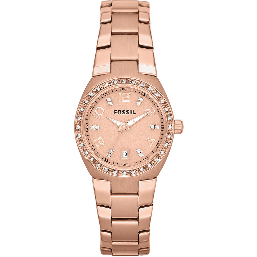Fossil Watch Time 3 hands Serena AM4508