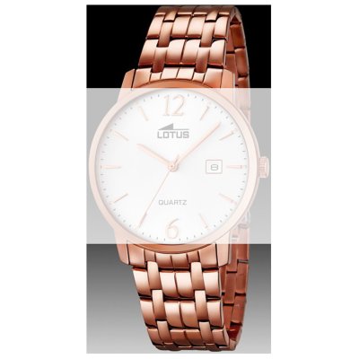 Lotus Straps BA03629 18178 band