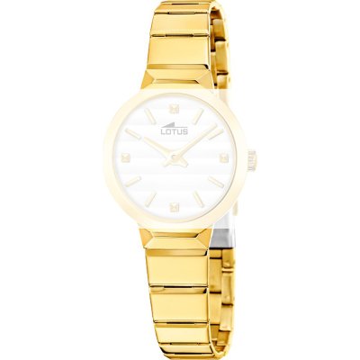 Lotus BA04969 Old Money band