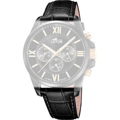 Lotus BC11409 Casual Chic band