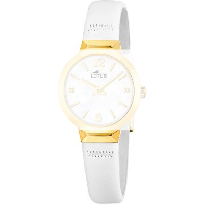 Lotus BC12000 Old Money band