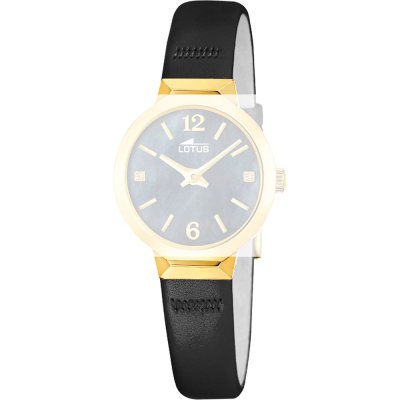 Lotus BC12002 Old Money band