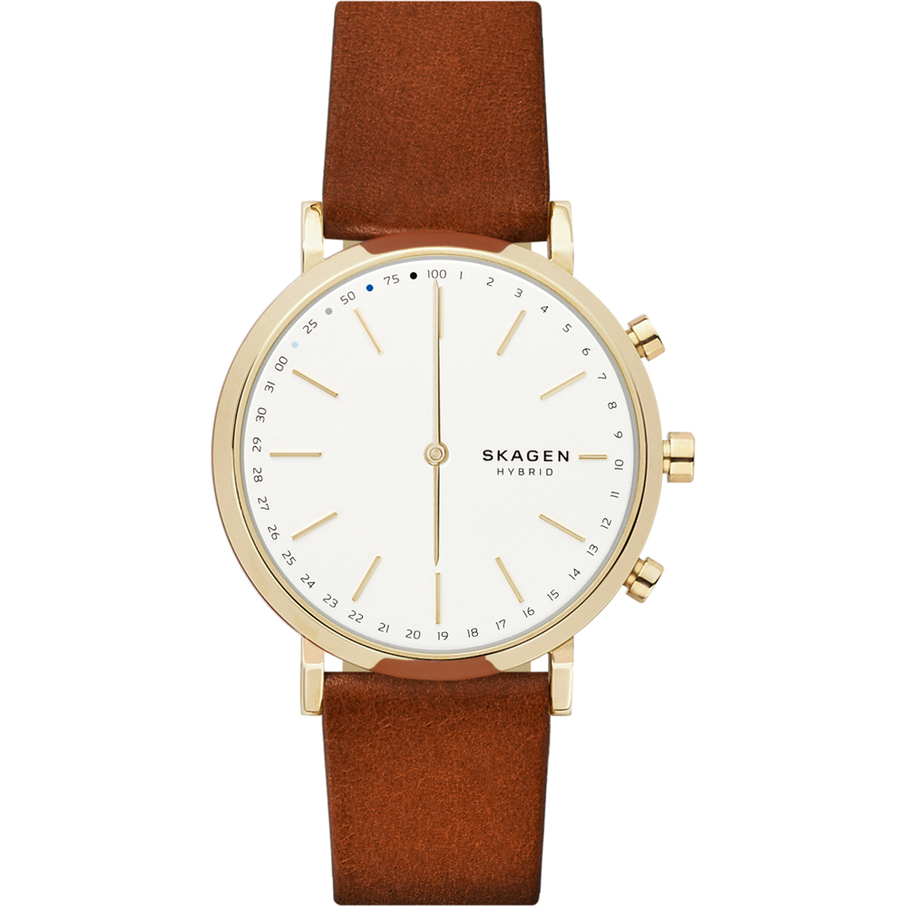 Skagen SKT1206 Hald Connected Horloge