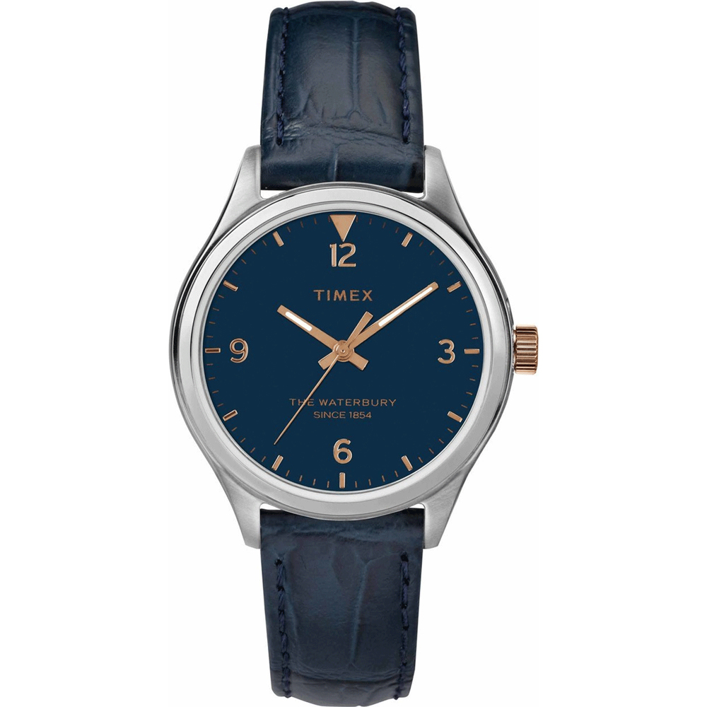 Timex Originals TW2R69700 Waterbury Horloge